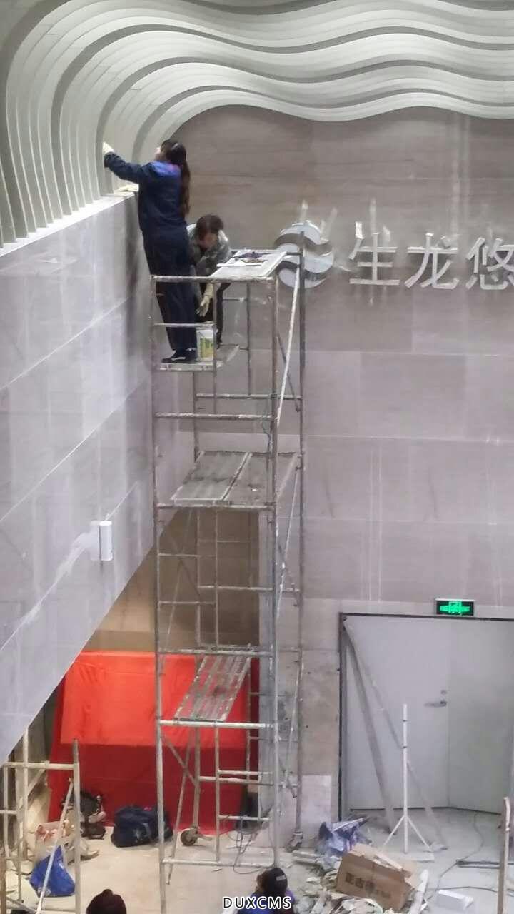 生龙国际内部清洁 (2)